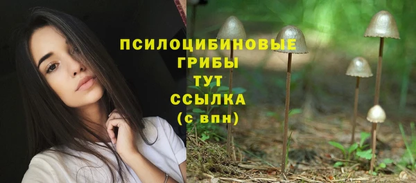 стафф Белоозёрский