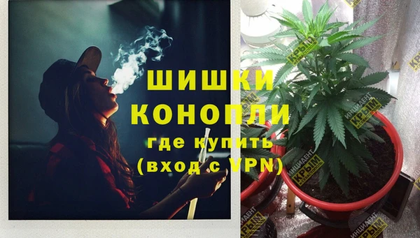 кокаин колумбия Белокуриха