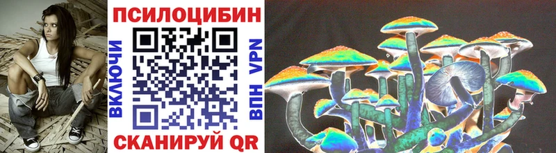 Купить  Стерлитамак  Галлюциногенные грибы Magic Shrooms 